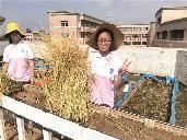 ���ڼ����¡�ʵ������ ����ˮ���ո��ϲ��