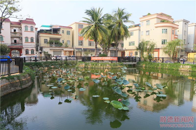 �ݹ������������������˾ӻ�����������òչ����