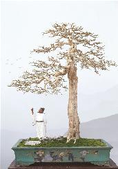 ��Ҿ����������2021�й��辰����˳�µ������辰��չ�����տ�Ļ