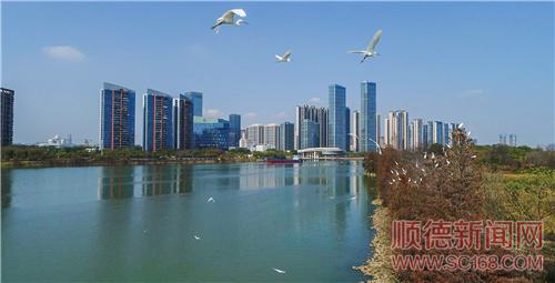 ��ˮ���� ����ˮ����ζŨ