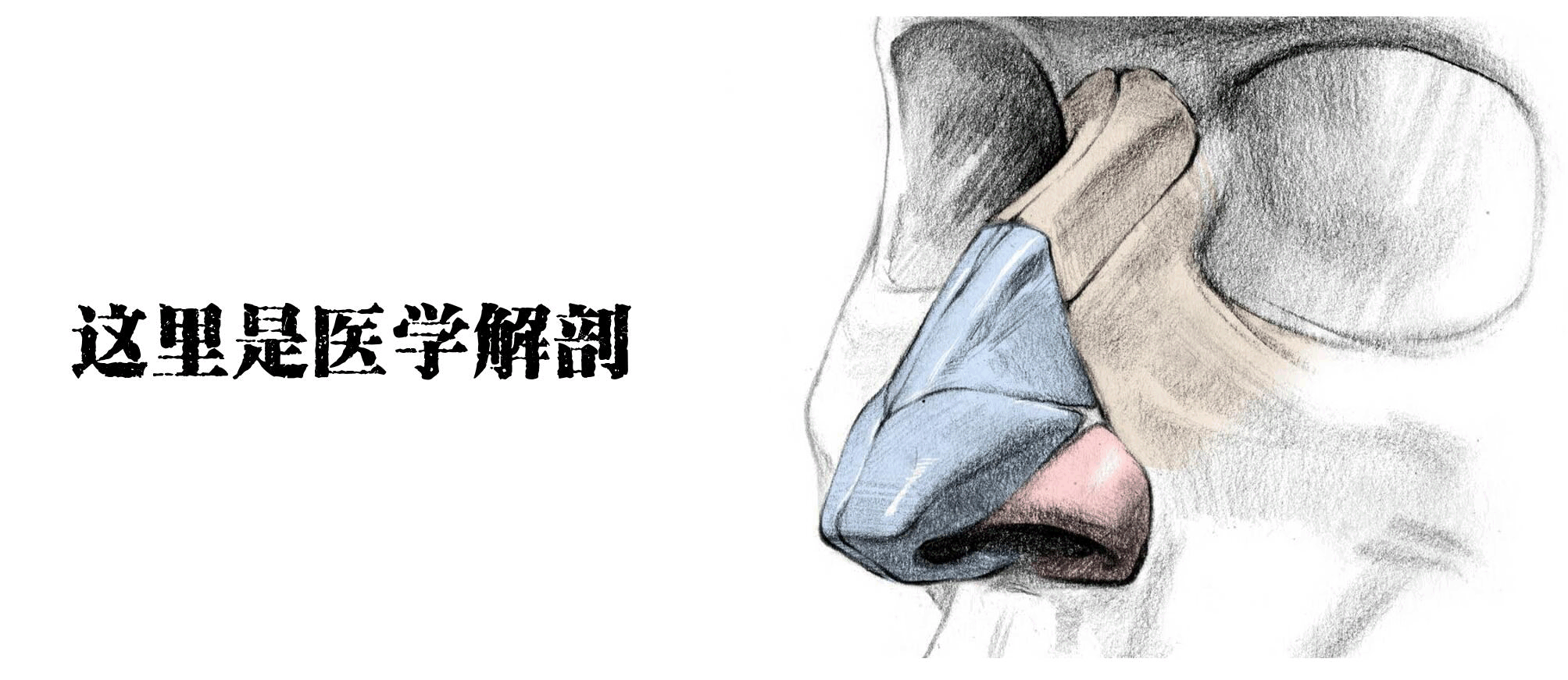 ҽѧ���Ŀ��Ե����ж��ѣ�����ѧ�����Ƴ�ɶ����