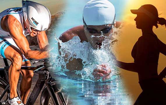 2019���ƽ����������