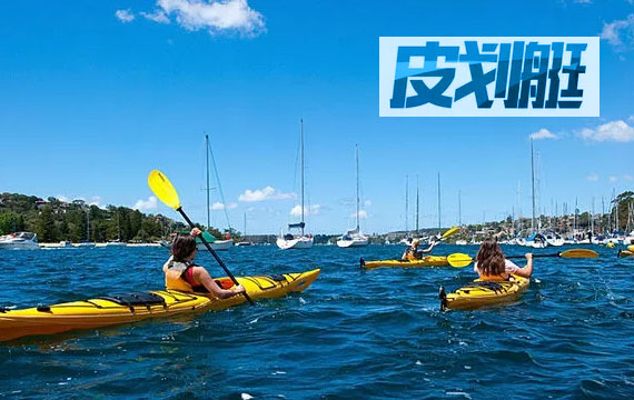 2019�걱����������Uϵ��Ƥ��ͧ�ھ���