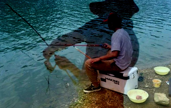 2019���������������