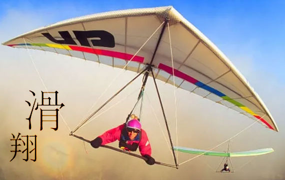 2019�걱������ɡ����������