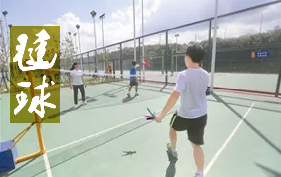 2019�걱������Сѧ��������