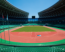 ���ݺ�Ͽ����ƥ��������