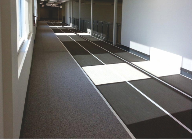 ������ѵ����