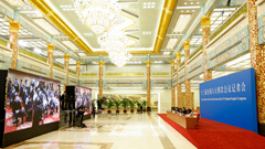 �»���/�й�������