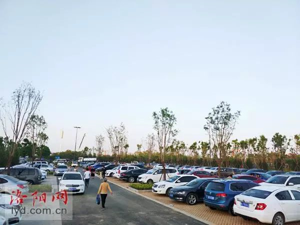 ������԰ͣ����