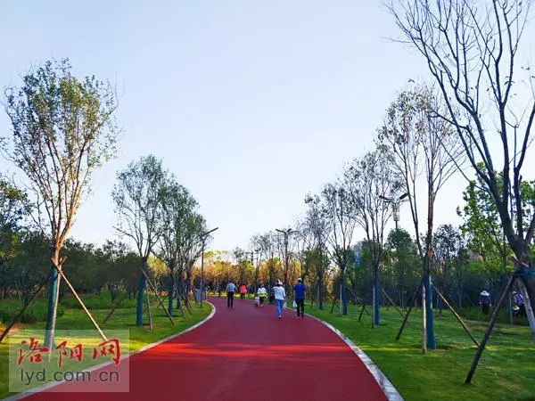 ������԰����