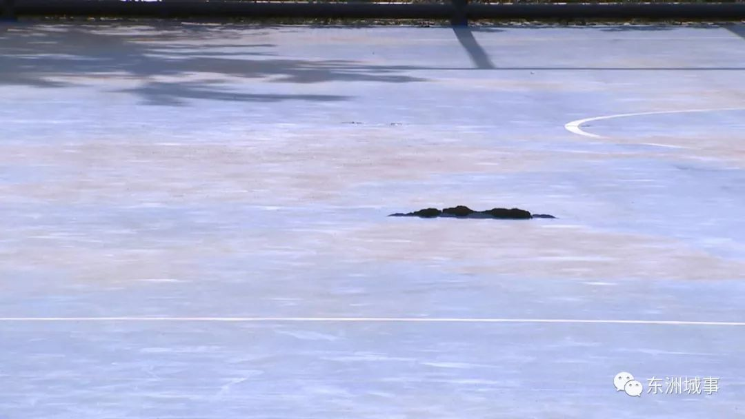 �����ܽ����������޸�