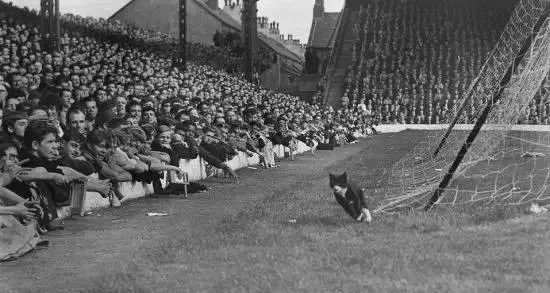 英超足球场 英超足球场