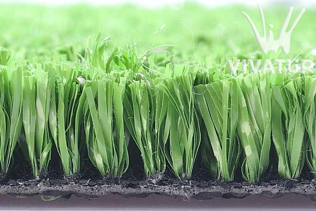 ���������ƺ