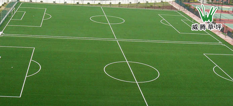 �����ƺ����������