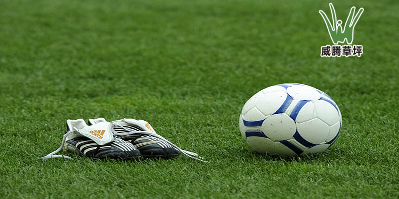 �����˹���ƺ