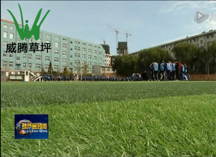 杨利伟高中人造草坪足球场