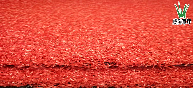 ���������ƺ