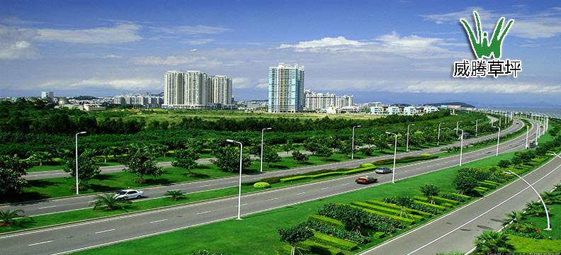 人造草坪道路绿化