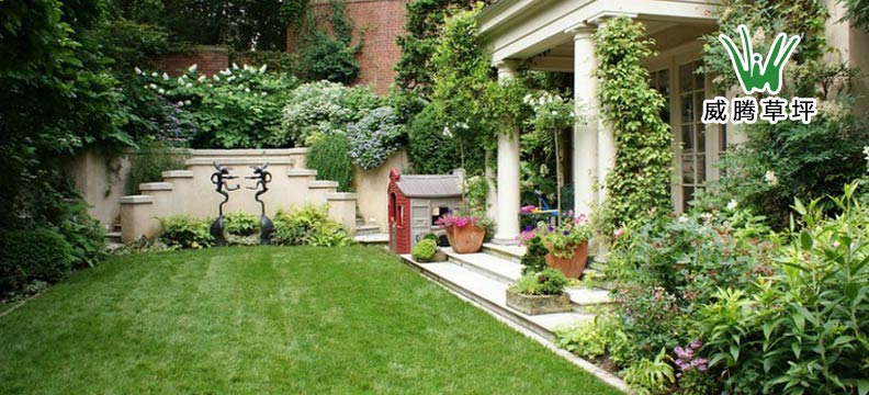 �����ƺ�����̻�