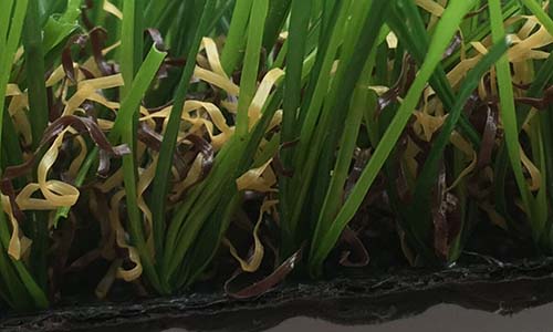 �����ƺ������,�����ƺ����,�����Ƥָ�����