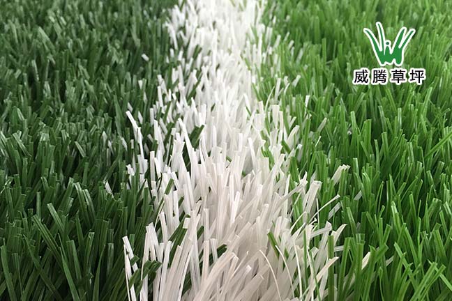足球场人造草坪-es50475