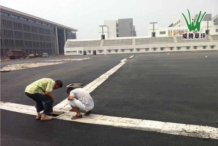 �����ƺ�������