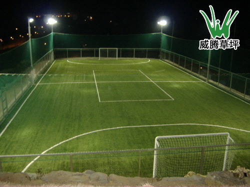 ���������ƺ����-���������ƺ