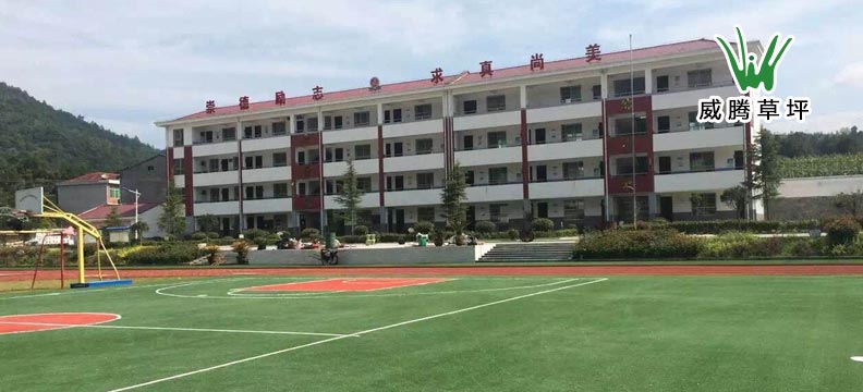 �����ƺ����