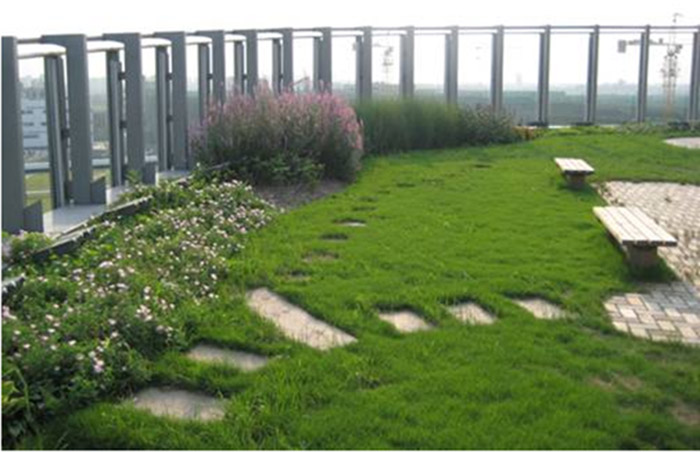 �����ƺ�ݶ��̻�