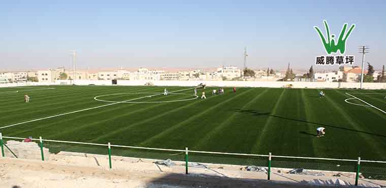 ����͢ʮһ���������ƺ����