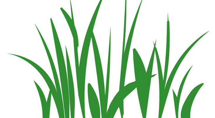 �������ô��