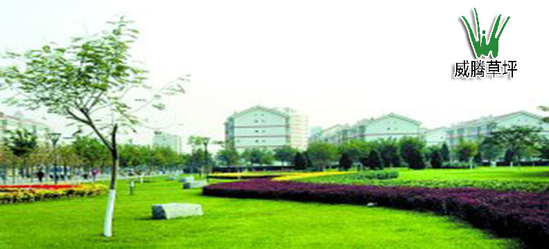 �����ƺС���̻�