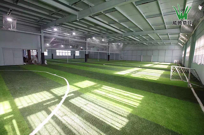 ��������ƺ����