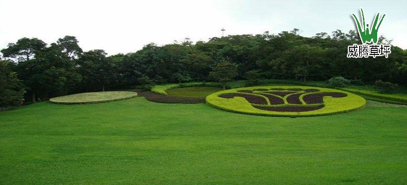 �����ƺ԰���̻�