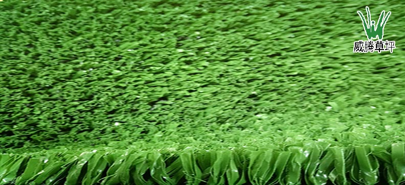 ��ȼ�����ƺ