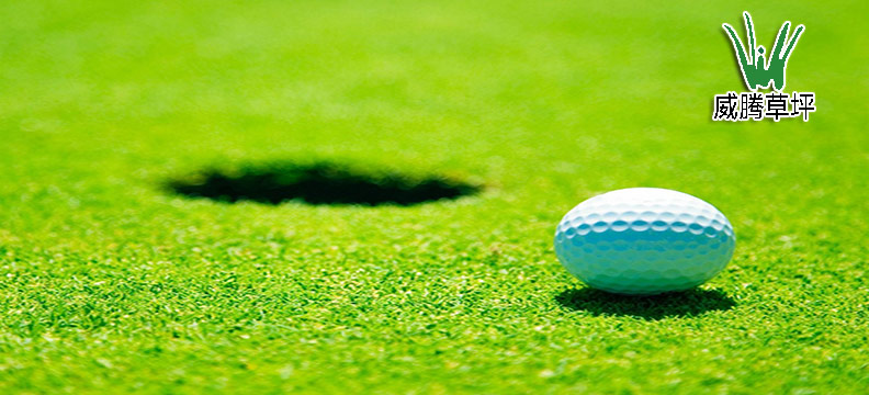 �������߶�����