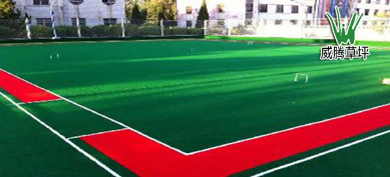 �����ƺ����