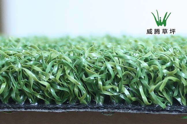 �߶�����������