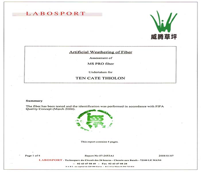 FIFA����ʵ������֤