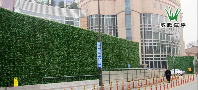 垂直绿化