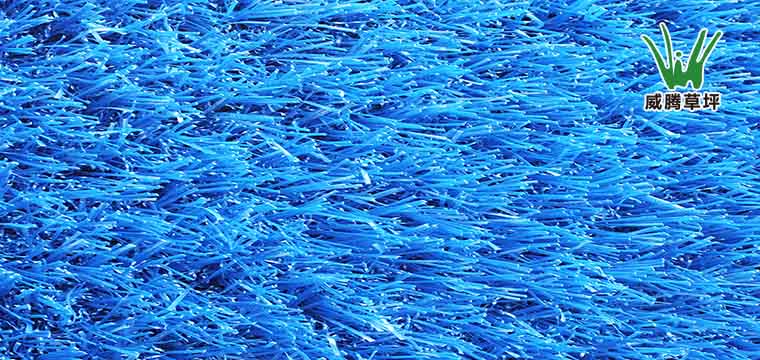 ������ɫ�׶�԰�����ƺ