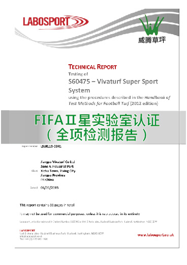 FIFA����ʵ������֤