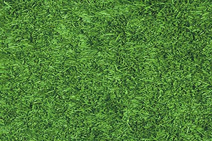 �����ƺ���ŵ�,�����ƺ�ĺô�