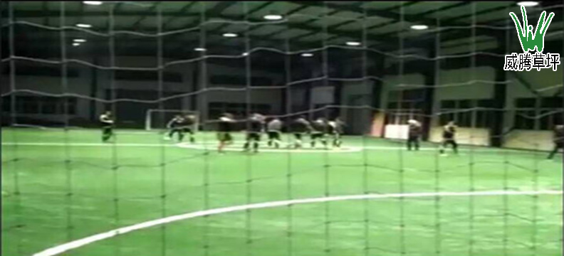 ̩�ݳ��������ƺ����-����