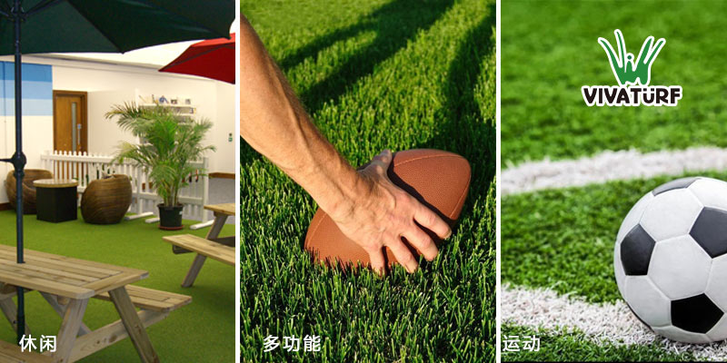 �����ƺ������ͼ