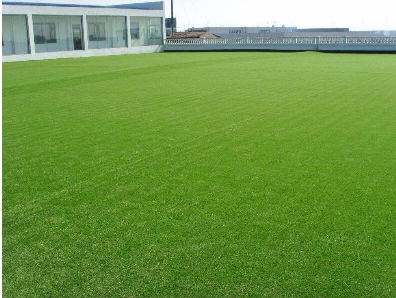 人造草坪 人造草坪