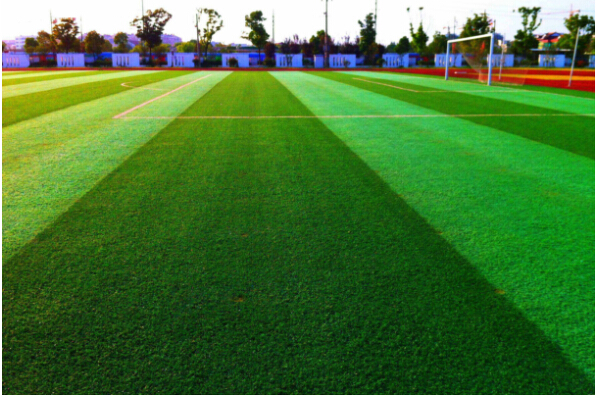 �����ƺ��һЩС֪ʶ