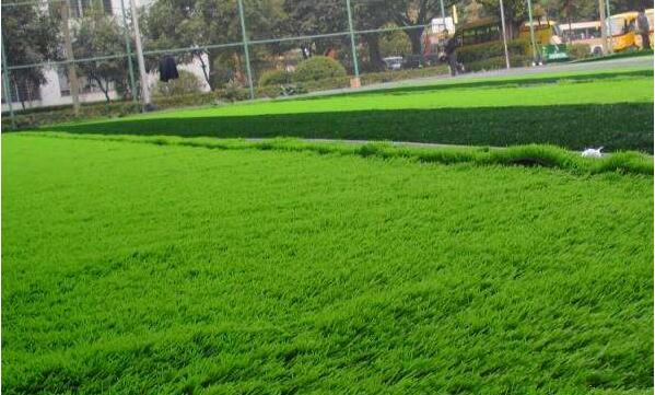 �����ƺ�������׶�԰��