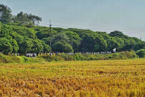 ͼƬ���� ��, ����, ���, ��Ұ  �������Զ�����